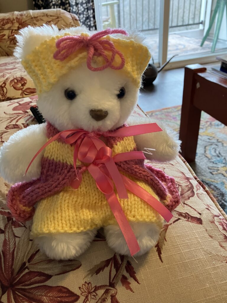 Teddy in his new duds.